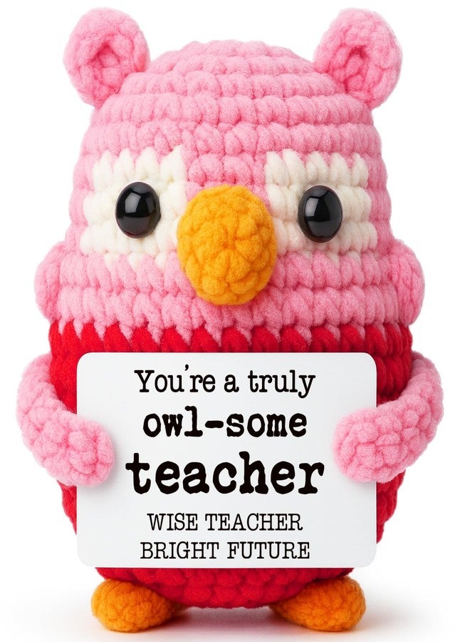 Hweijm Pink Owl Crochet Birthday Gift for Teacher, Handmade Thank You Keepsake for Women Mentors, Inspirational Crochet Teacher Appreciation Present, Graduation End of School Year Desk Decor - Image 1